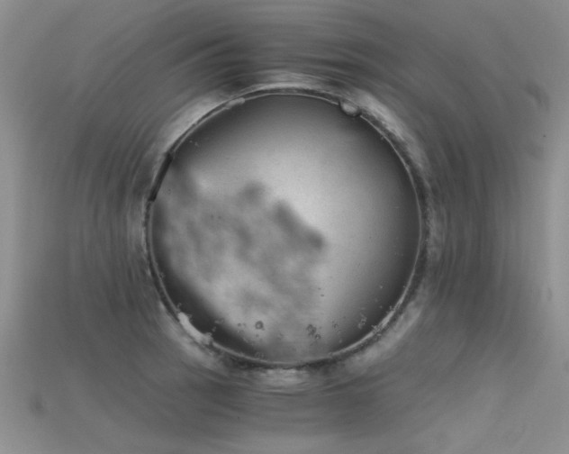 X0000115681137200911121240