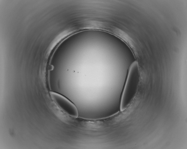 X0000115681138200911121240