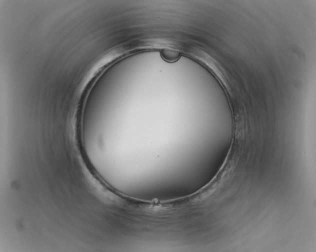 X0000115681139200911121240