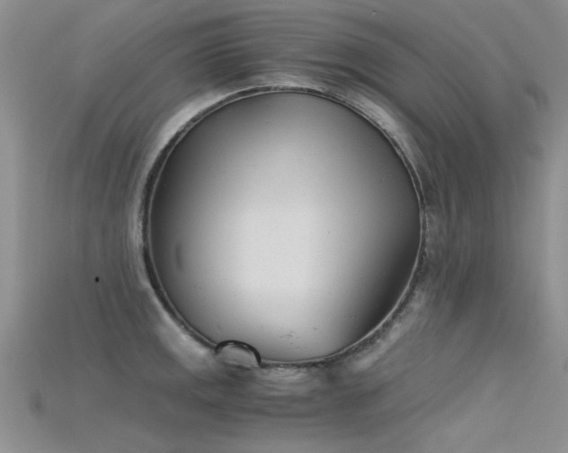 X0000115681141200911121240