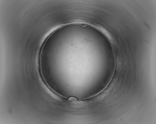 X0000115681142200911121240