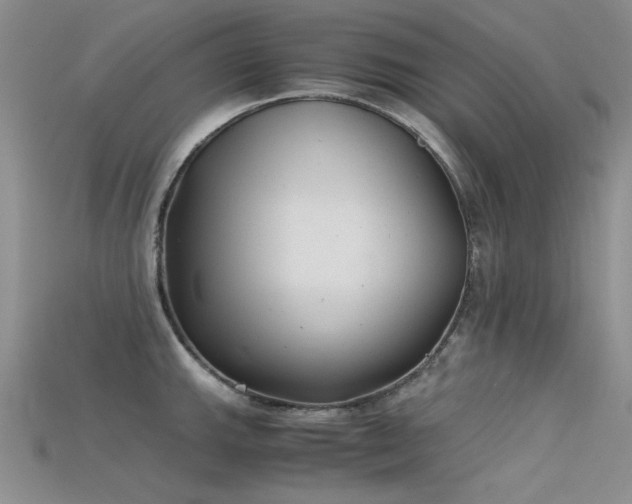 X0000115681143200911121240