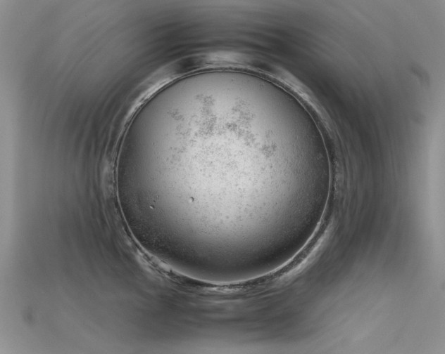 X0000115681145200911121240