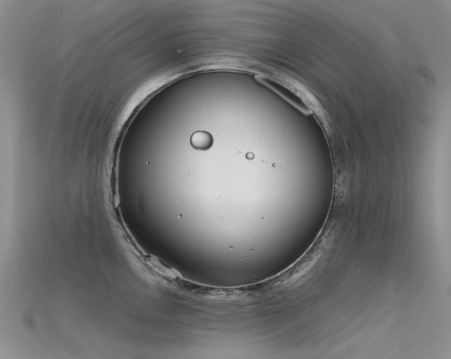 X0000115681146200911121240