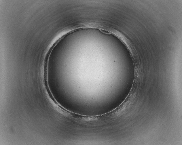 X0000115681147200911121240