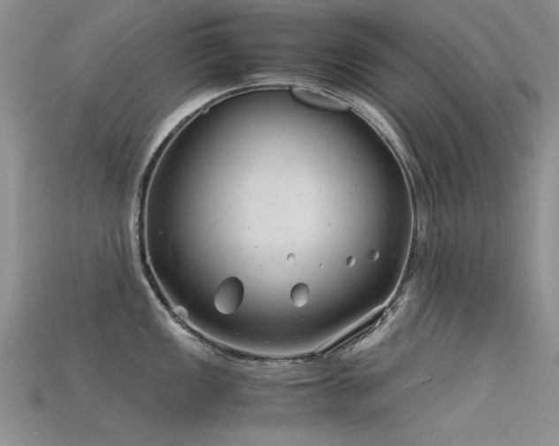 X0000115681149200911121240