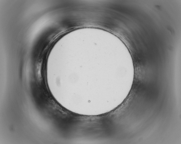 X0000115681150200911121240