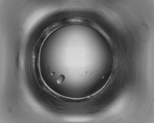 X0000115681151200911121240