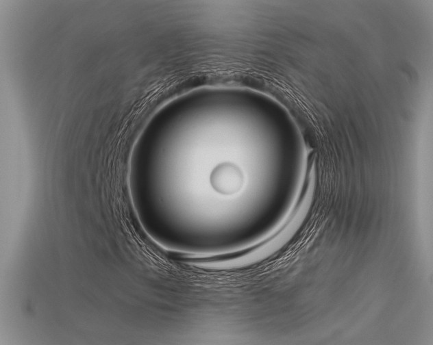 X0000115681153200911121240