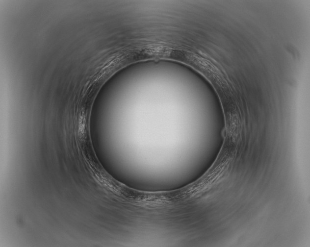 X0000115681154200911121240