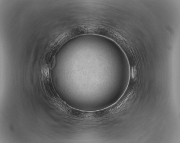 X0000115681155200911121240