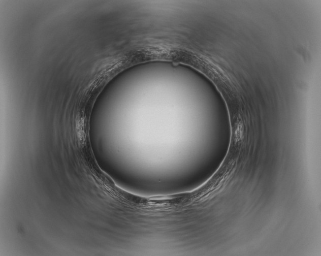 X0000115681156200911121240