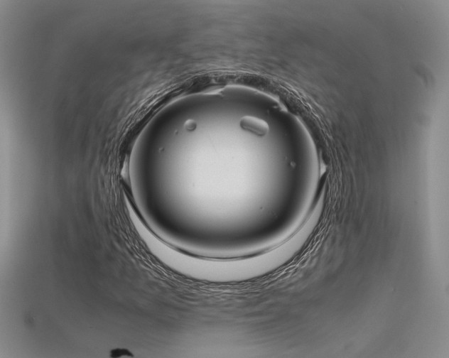 X0000115681157200911121240