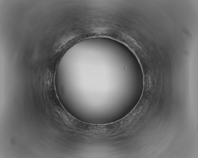 X0000115681158200911121240