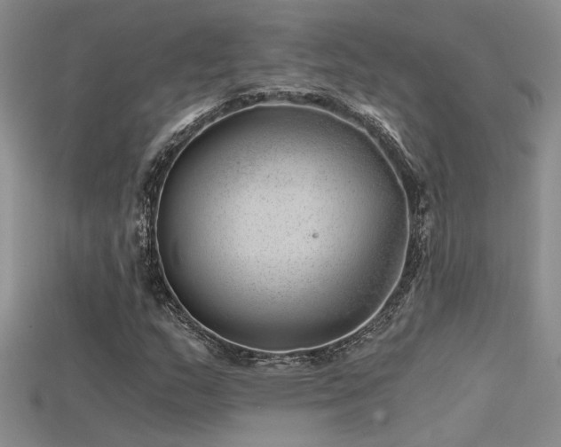 X0000115681159200911121240