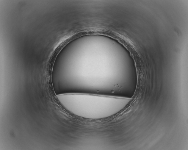 X0000115681160200911121240