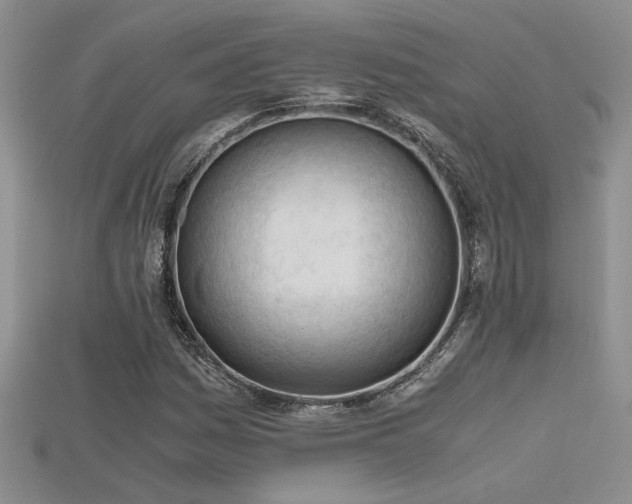 X0000115681161200911121240