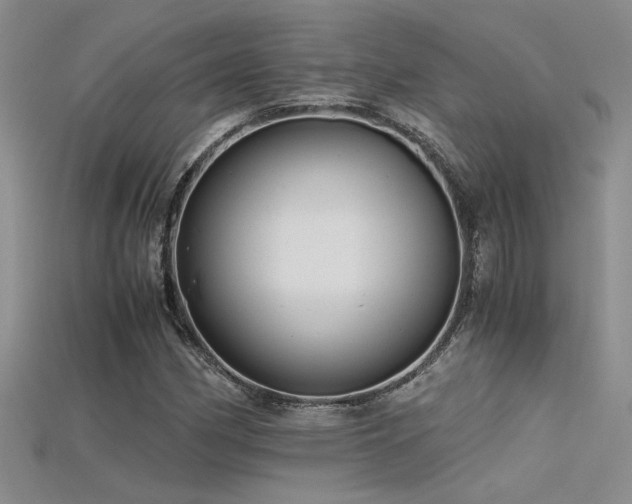 X0000115681162200911121240