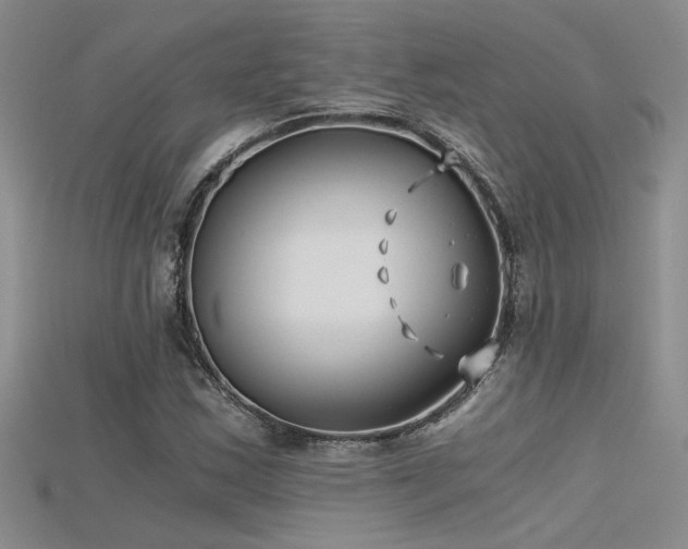 X0000115681163200911121240