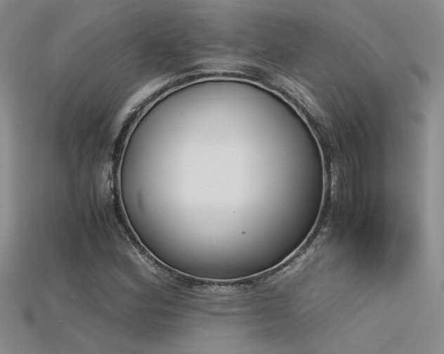 X0000115681164200911121240