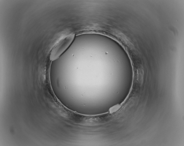 X0000115681165200911121240