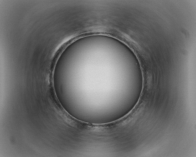 X0000115681166200911121240