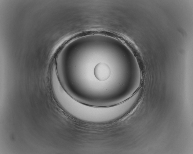 X0000115681167200911121240