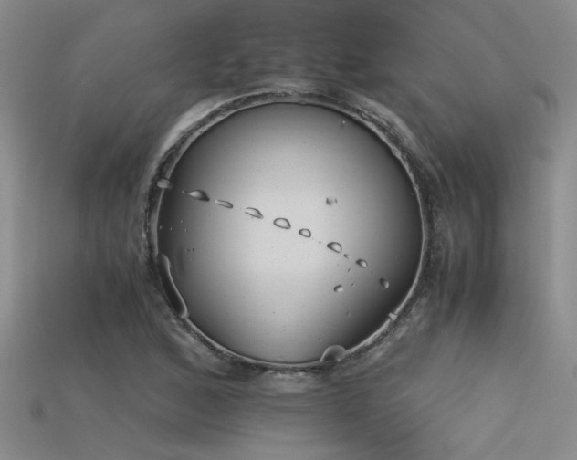 X0000115681168200911121240