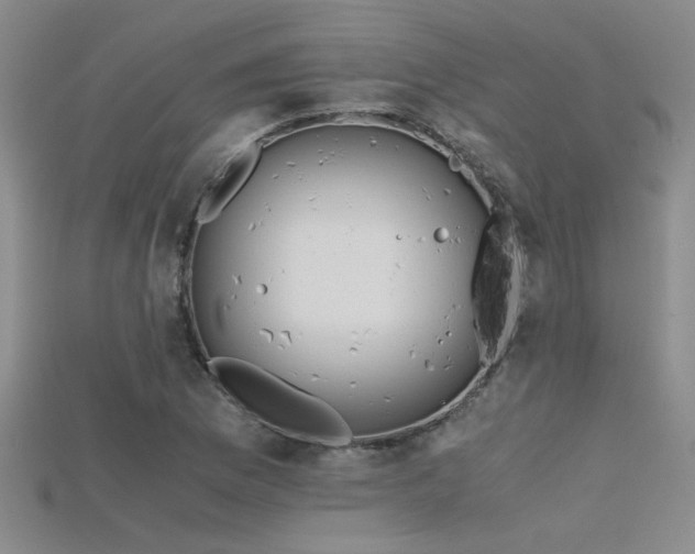 X0000115681169200911121240