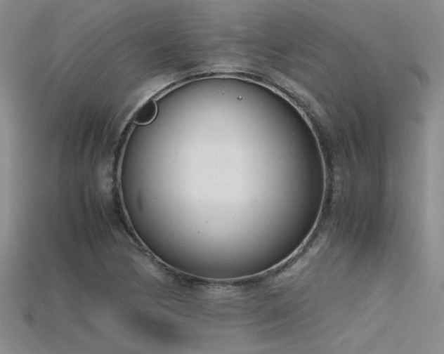 X0000115681170200911121240