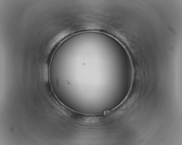 X0000115681171200911121240