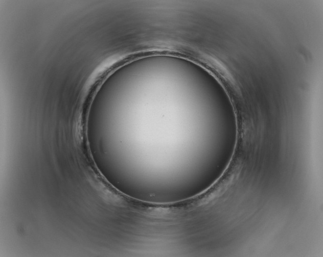 X0000115681172200911121240