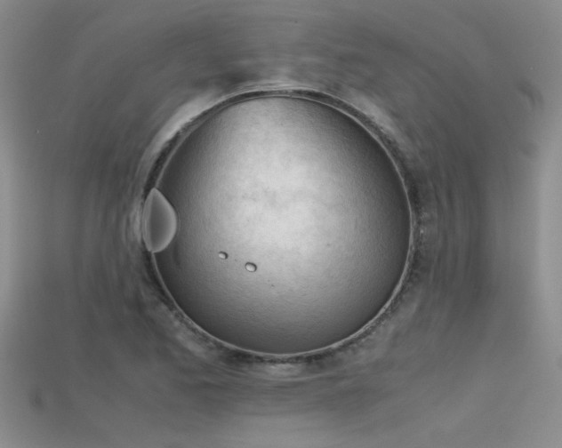 X0000115681173200911121240