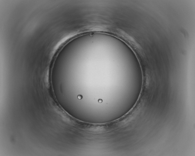 X0000115681174200911121240