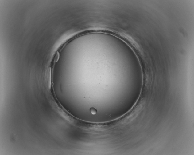 X0000115681175200911121239