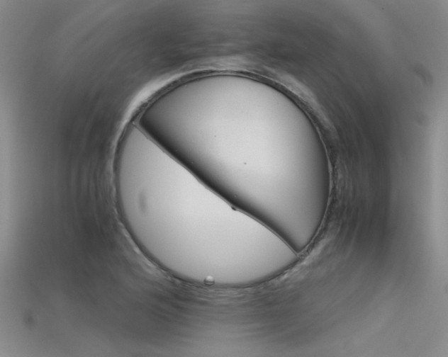 X0000115681176200911121239