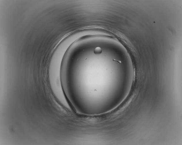 X0000115681177200911121239