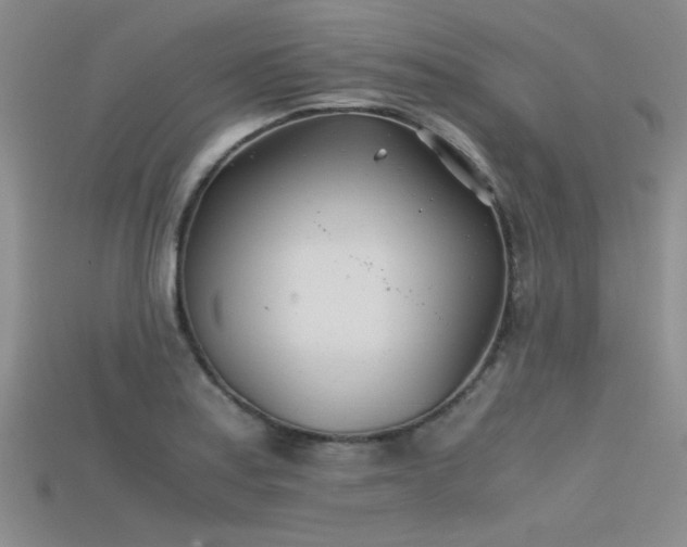 X0000115681179200911121239