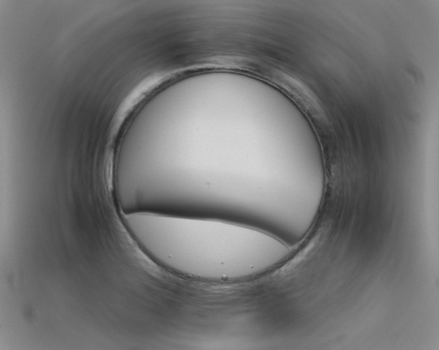 X0000115681180200911121239