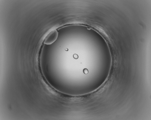 X0000115681181200911121239