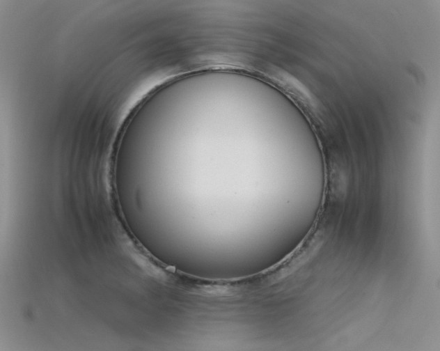 X0000115681182200911121239