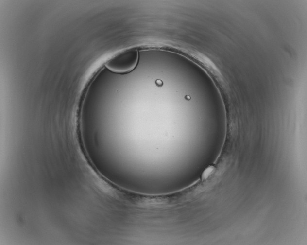 X0000115681183200911121239