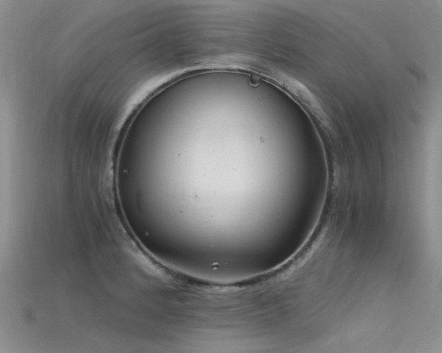 X0000115681184200911121239