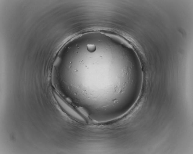 X0000115681185200911121239