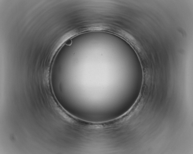 X0000115681186200911121239