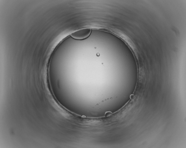 X0000115681187200911121239