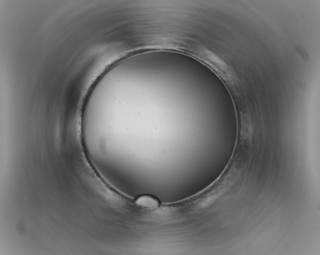 X0000115681188200911121239