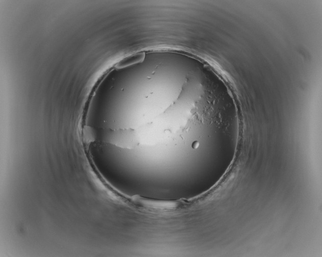 X0000115681189200911121239