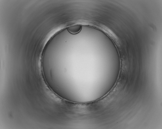 X0000115681190200911121239