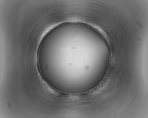 X0000115681191200911121239